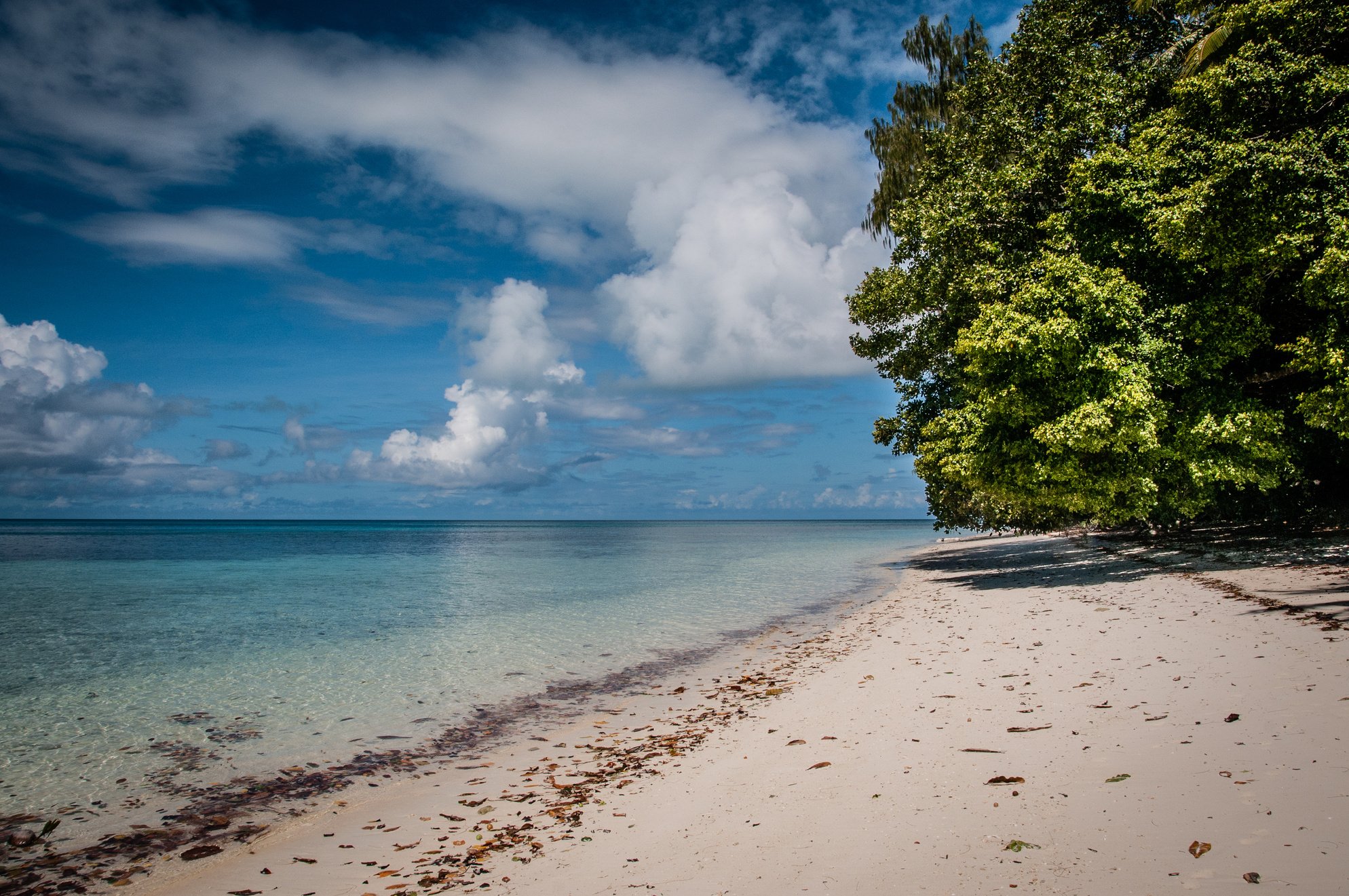 beach at ulong channel palau